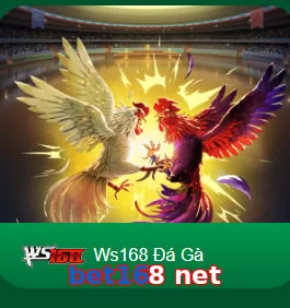 bet168 net